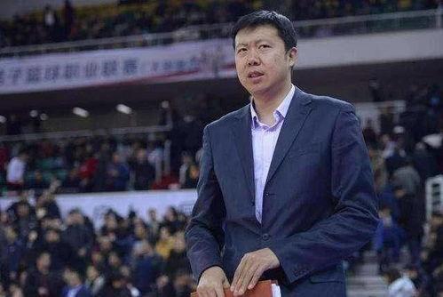 白云教练爆料最新消息,最新体育界动态揭秘