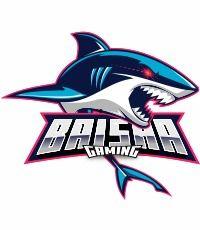 最新白鲨世冠爆料了吗,赛场风云再起，精彩对决即将揭晓